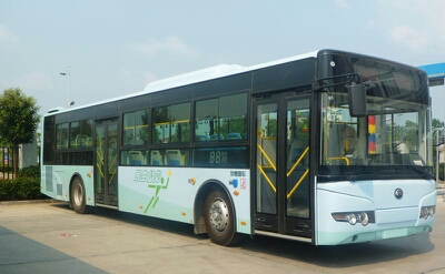 东台101路公交车路线