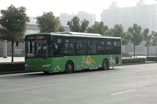 靖江101路公交车路线