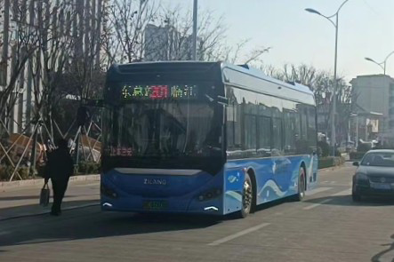 启东201路(临江)公交车路线