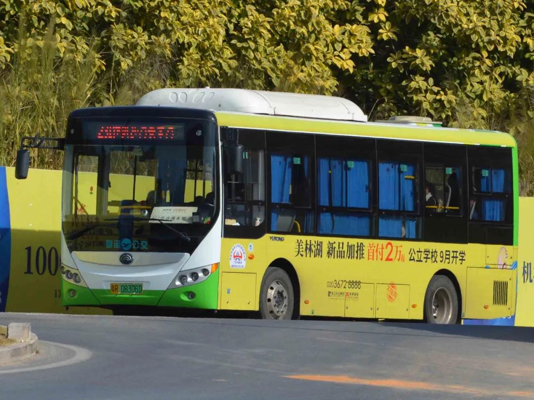 清远231路公交车路线