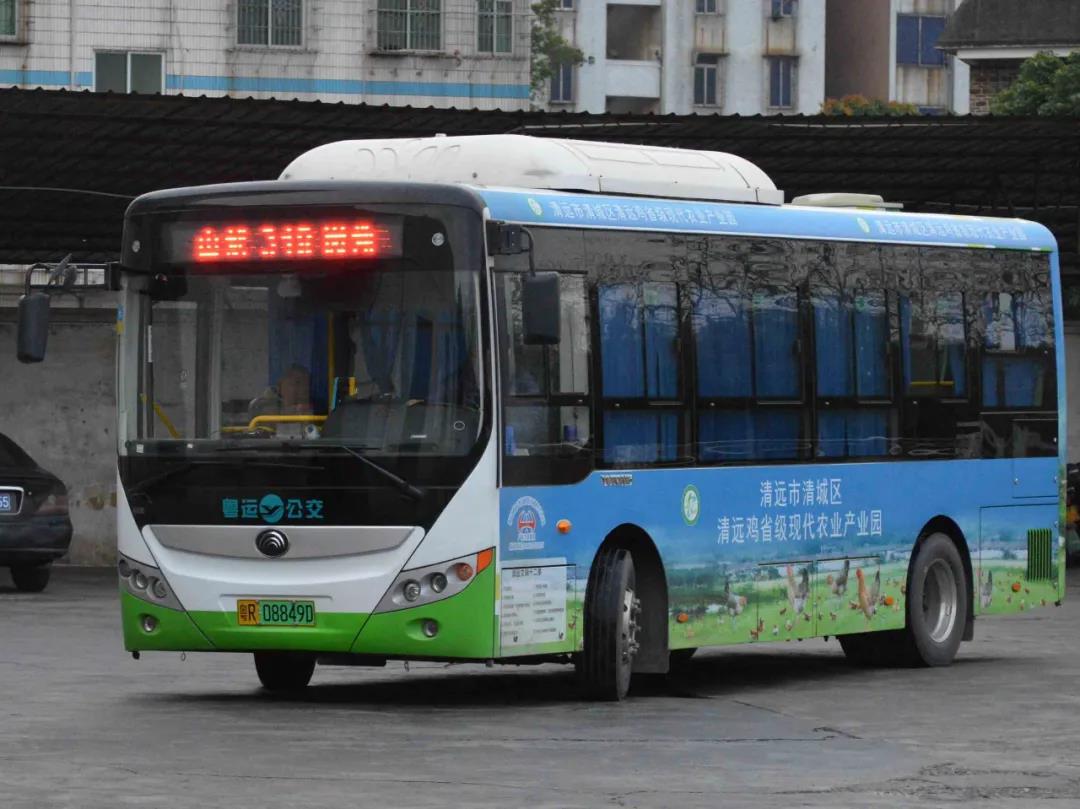 清远318路公交车路线