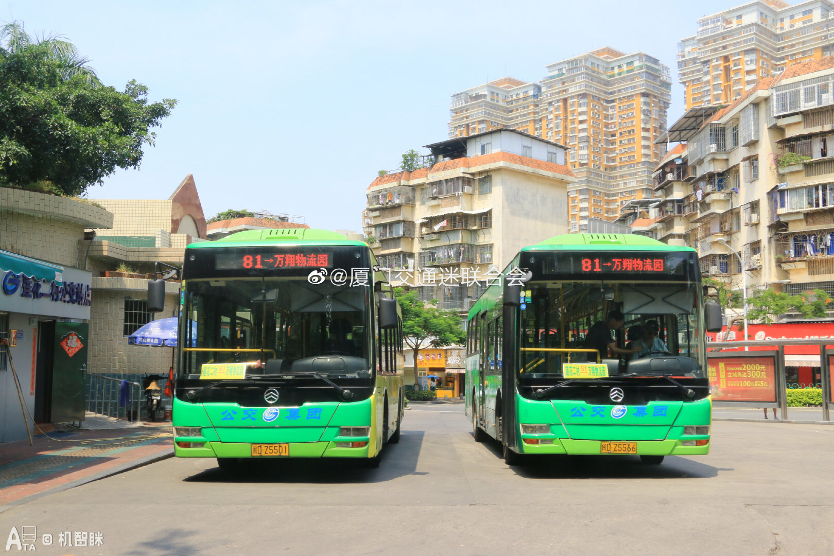 厦门8路公交车路线