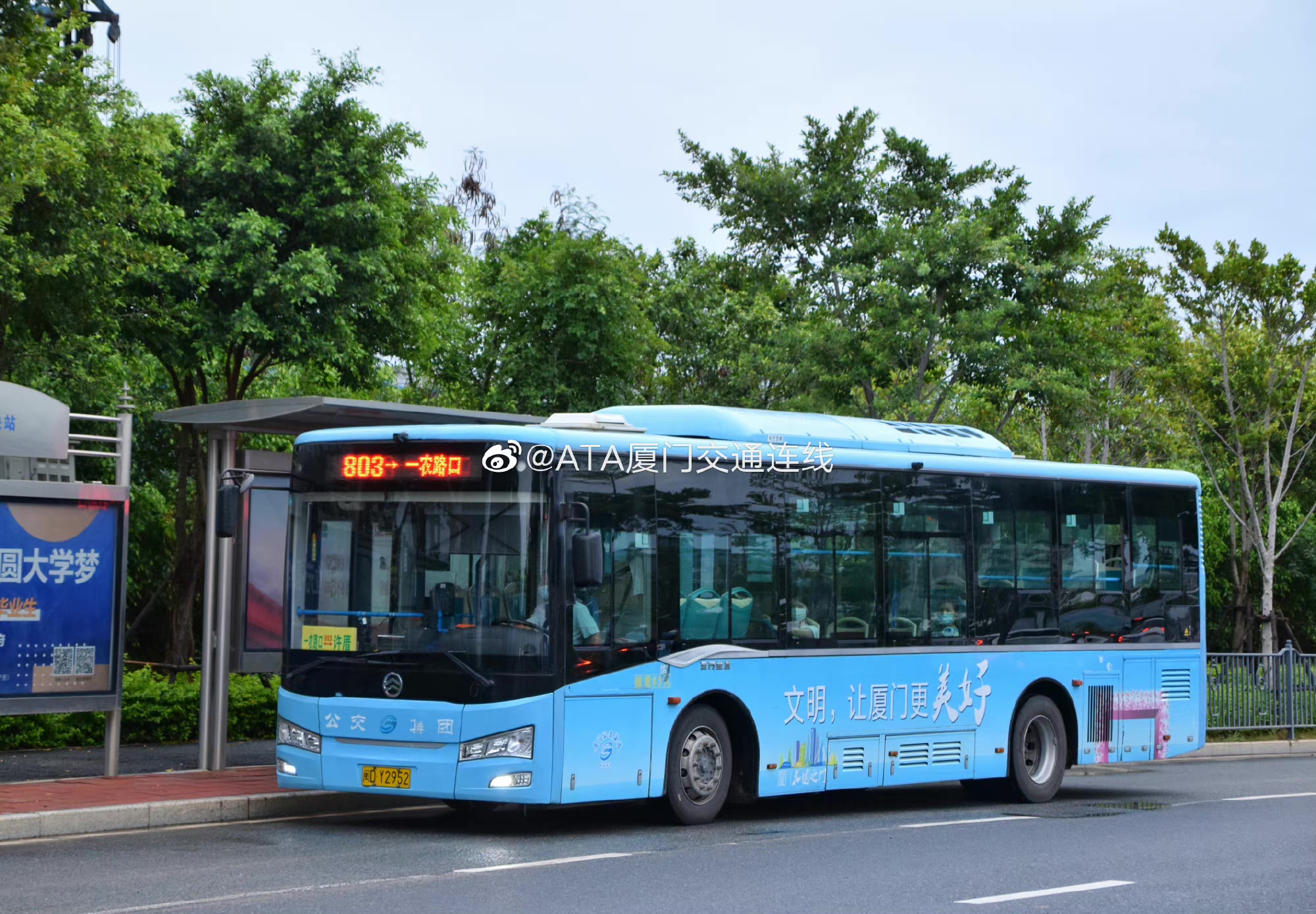 厦门803路公交车路线
