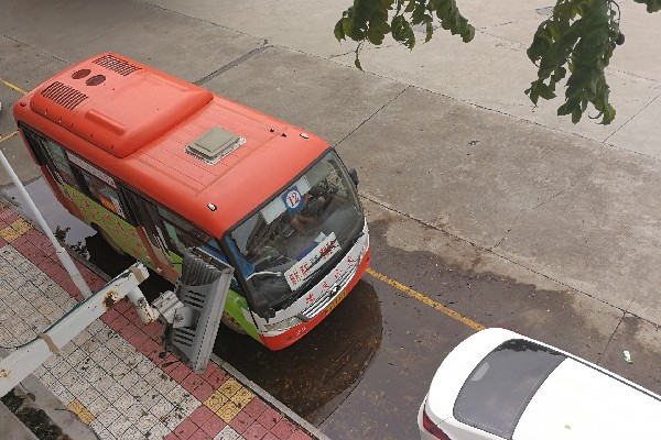 肇庆德庆12路公交车路线