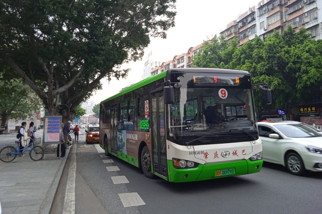 肇庆9路公交车路线